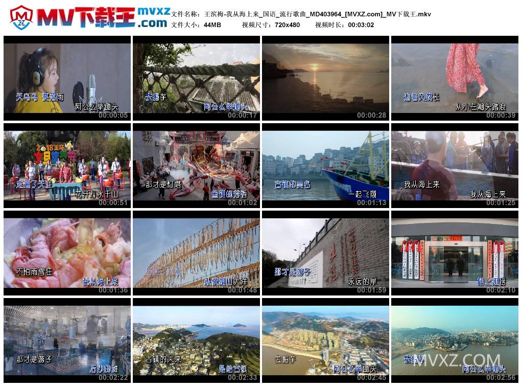 王滨梅-我从海上来_国语_流行歌曲_MD403964